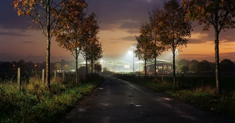 Ein Stadion unter Flutlicht aus großer Entfernung gesehen, davor eine dunkle Landstraße und einzelne Bäume in der Abenddämmerung.